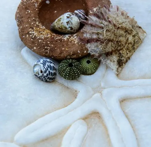 Theodora شقة Pánormos