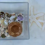 Lejlighed Theodora