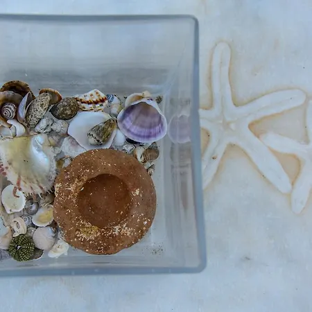 Appartement Theodora